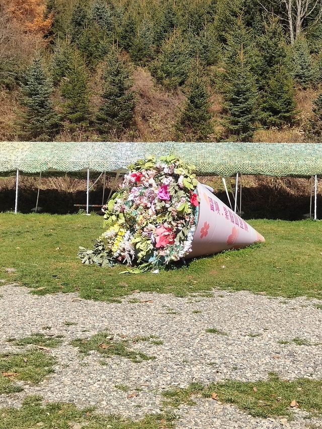 留壩紫柏山徒步賞秋攻略。