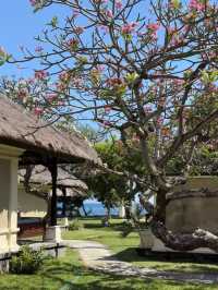 Puri Bagus Lovina Resort stayed in with beach views 🏖️