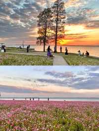 答應我！一定要去上海後花園阿勒泰！附路線哦！。
