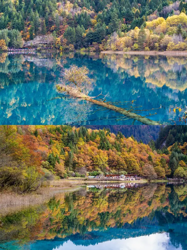 November Travel | 4-day trip to Jiuzhai Valley, Huanglong, and Mount Siguniang. 