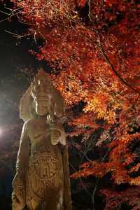 Kyoto To-ji Temple 
