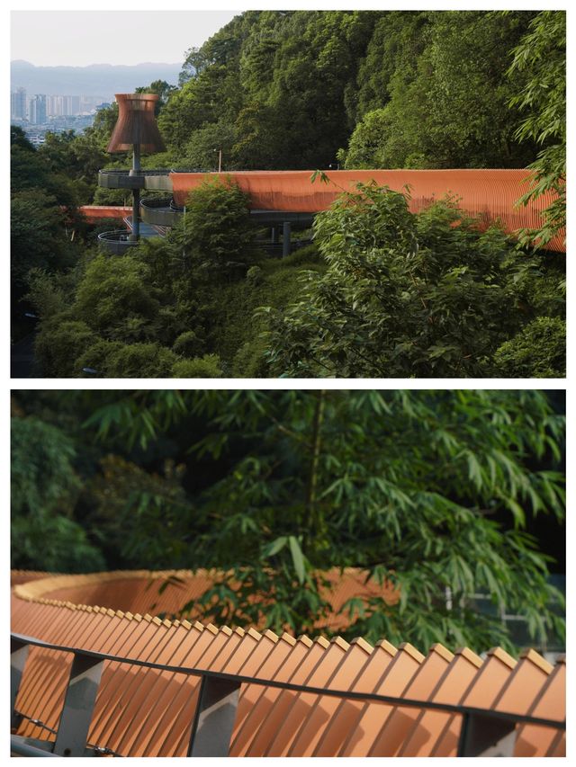 翠屏山景區美麗的風景吸引了人們的眼球。