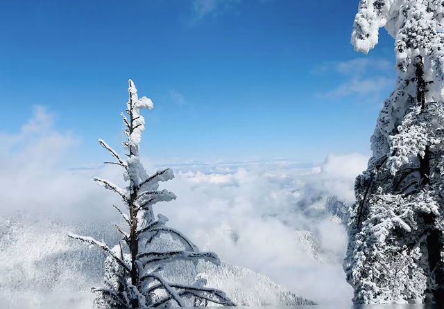 瓦屋山Live，真的不是禾木！。