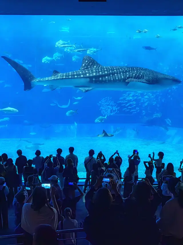 If you're visiting Okinawa for the first time, this is a no-brainer. 