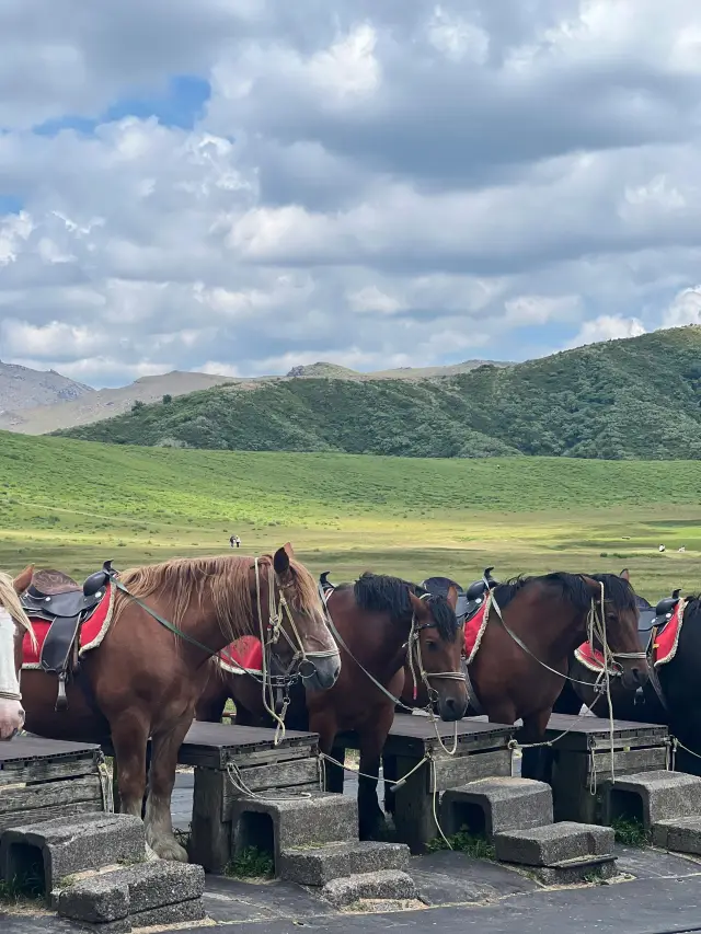 6-Day Japan Itinerary: A Detailed Guide to Exploring Tokyo and Osaka