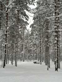 4日芬蘭冬遊攻略雪景美翻了