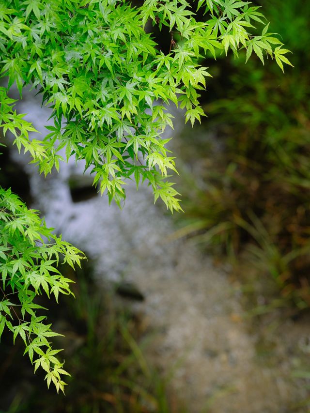 元旦假期 體驗七天日本生活