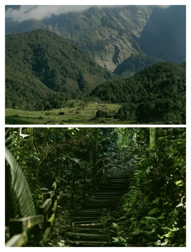 Kota Kinabalu Mount Kinabalu Day Tour: The Ultimate Guide!