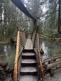 Experience the Thrill of Capilano Suspension Bridge Park