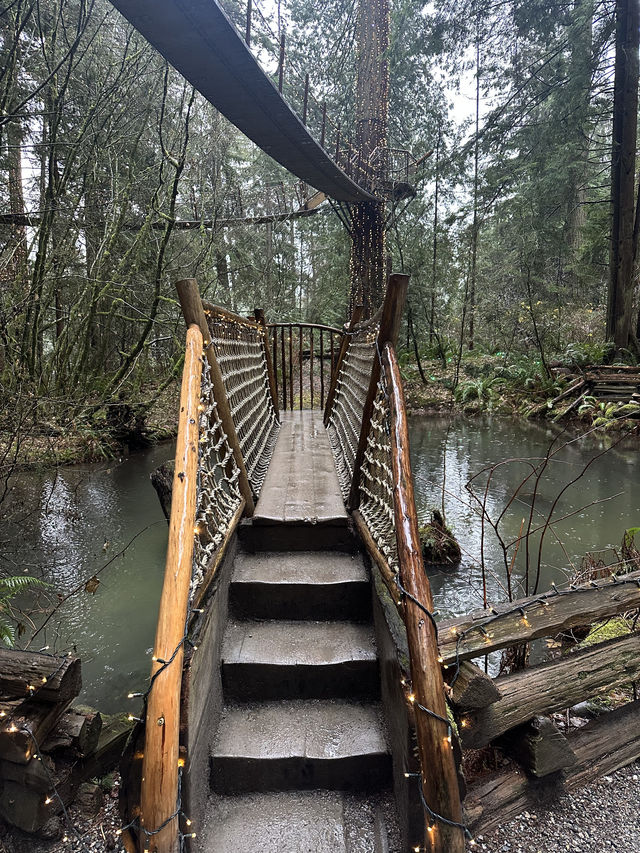 Experience the Thrill of Capilano Suspension Bridge Park