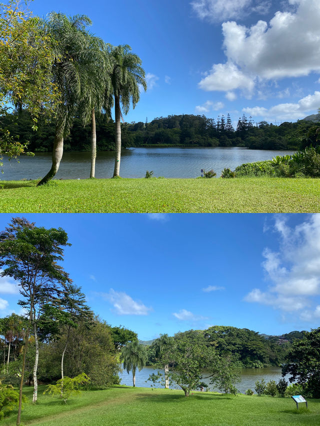 歡迎領略熱帶風情！夏威夷免費植物園！