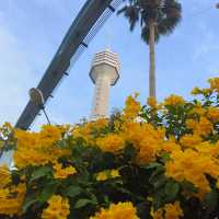 芭堤雅海灘公園度假村 評價褒貶不一的好地方   酒店：芭堤雅海灘公園度假村 Beach Pa