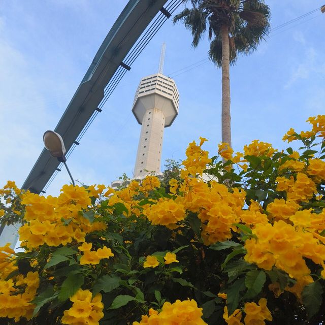 芭堤雅海灘公園度假村 評價褒貶不一的好地方   酒店：芭堤雅海灘公園度假村 Beach Pa