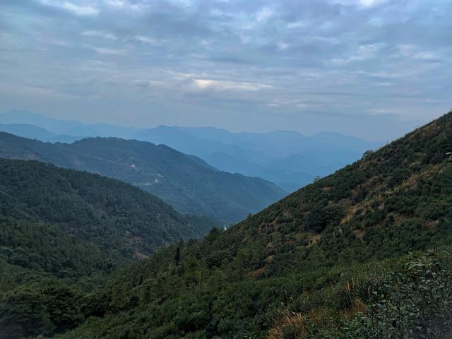 「【徒步天堂】陳平山：小眾秘境，與自然親密接觸的絕佳去處！」