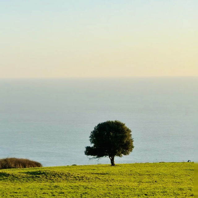 Seven Sisters National Country Park