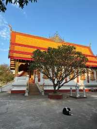Explore the Hidden Temples of Luang Prabang