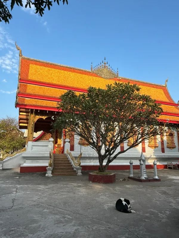 Explore the Hidden Temples of Luang Prabang