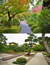 日本•島根縣｜由志園、足立美術館