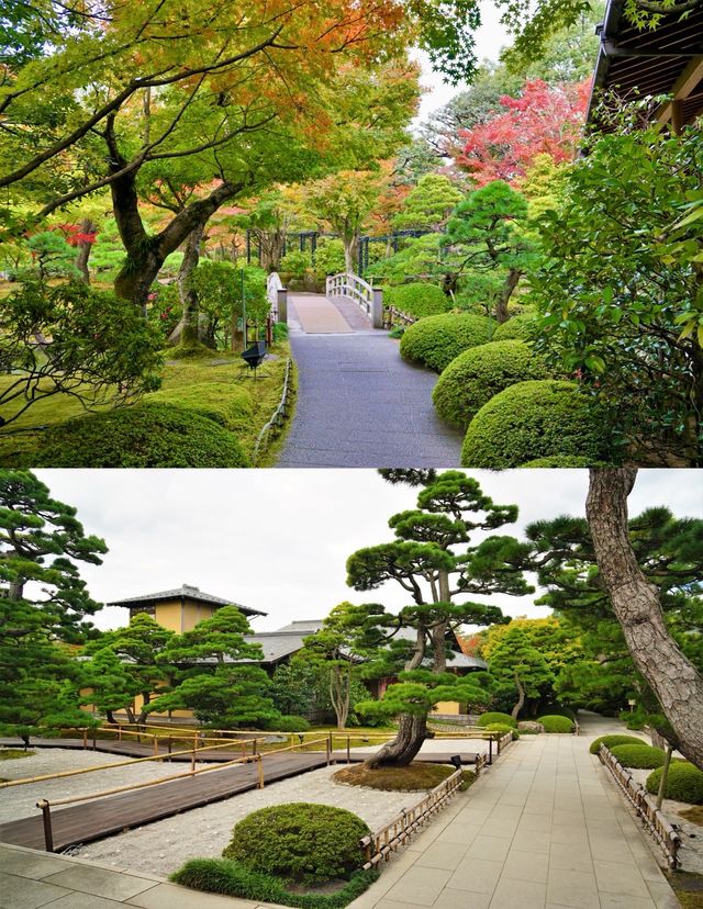 日本•島根縣｜由志園、足立美術館