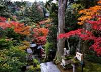 秋日秘境 | 日本小松·那谷寺的紅葉夢境