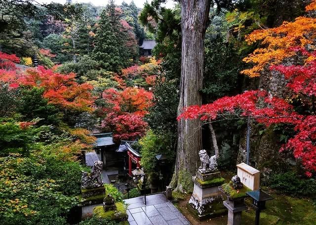 秋日秘境 | 日本小松·那谷寺的紅葉夢境