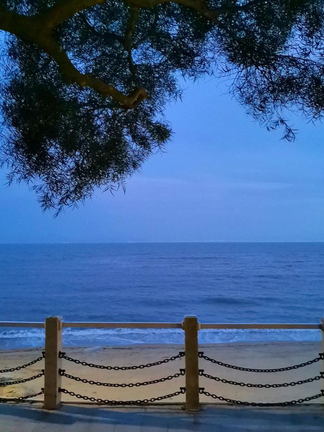 宮崎駿裏的淇澳島