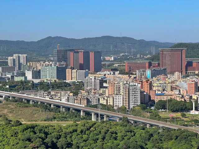 嶺南風情：有顏又有才的光明科學公園