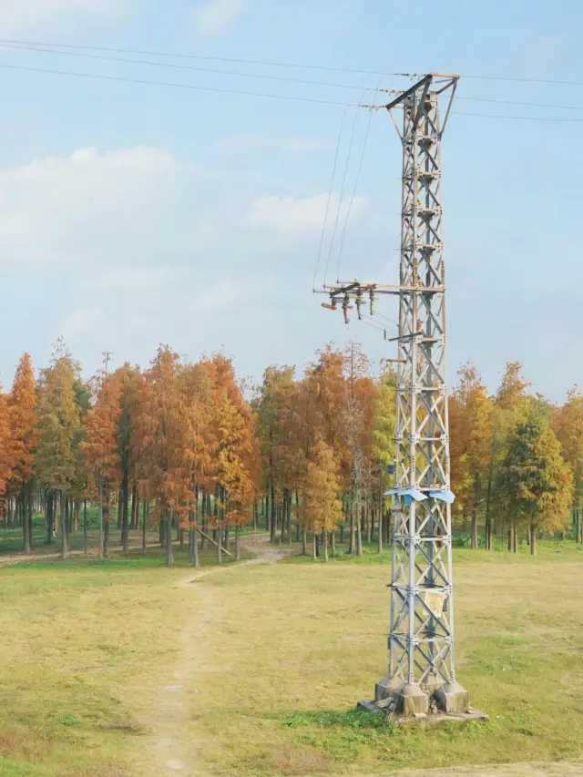 A beautiful riverside grassland accessible by the Guangfo Line!
