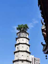黃岡