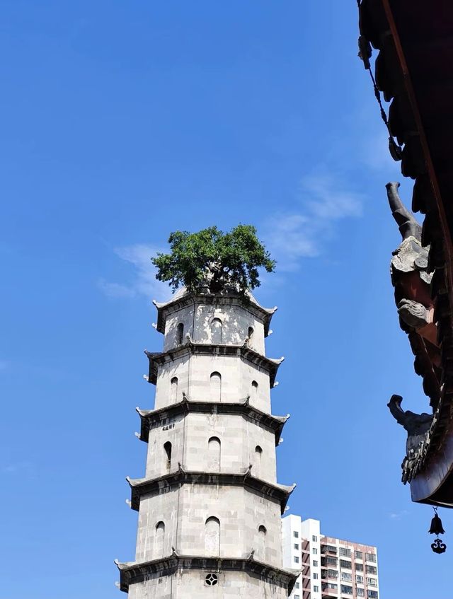 黃岡
