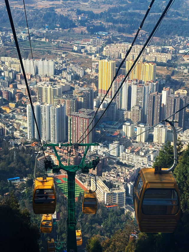 Citywalk路線推薦 | 一天玩遍個舊！
