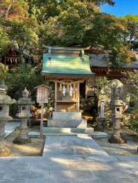 日本溫泉私藏建議壯麗體驗別錯過