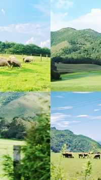 一腳踏進「宮崎駿的夏天」！
