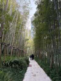 成都地鐵直達的絕美城市公園——紅石公園