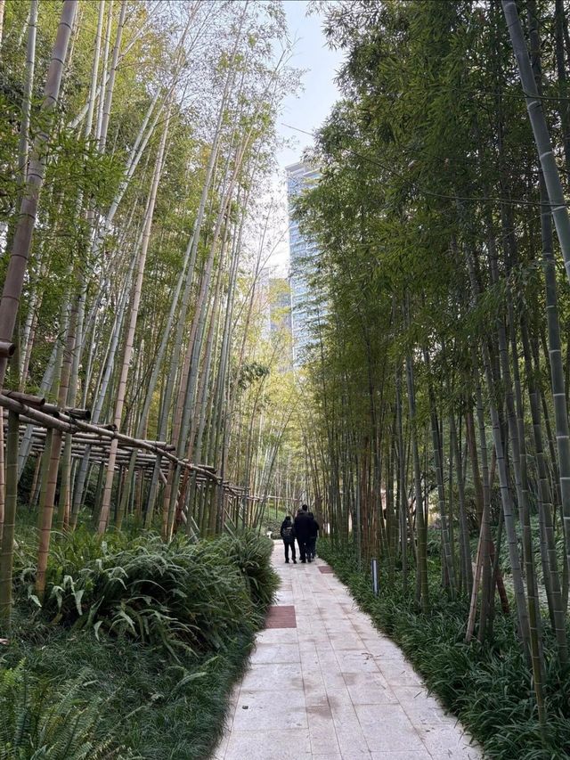 成都地鐵直達的絕美城市公園——紅石公園