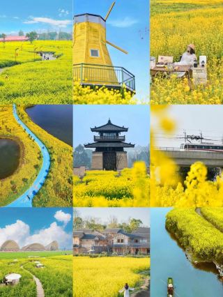 A Spring Trip to the Canola Fields of Chengdu: 13 Stunning Spots to Visit