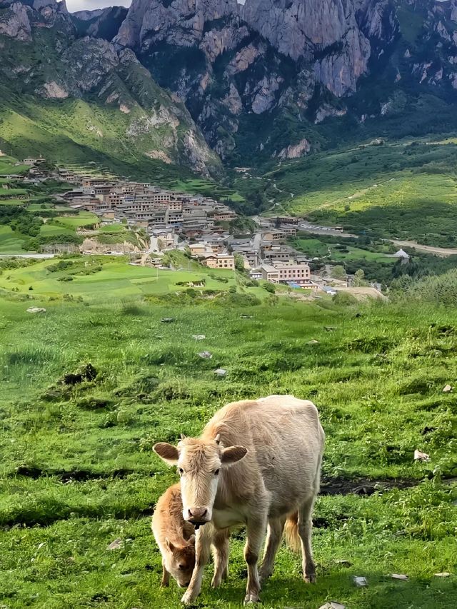 不去瑞士，也能擁有阿爾卑斯同款美景！