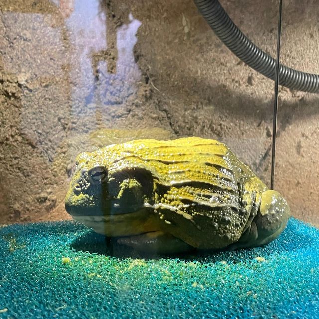 吉林遼源市田雨小鎮:田園詩畫中的夢幻樂園 吉林遼源市田雨小鎮:田園詩畫中的夢幻樂園