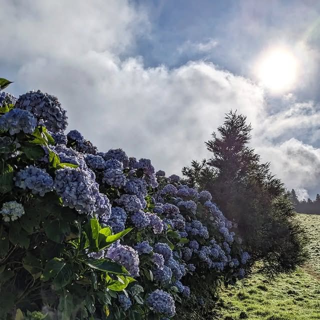 葡萄牙聖米格爾島國王觀景台：俯瞰火山湖的絕美視野