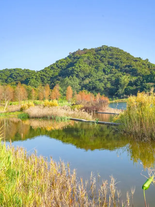 하얼빈 - 스노우 타운 - 창바이산 7일 스키 투어 매우 자세한 가이드