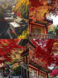 探索韓國丹陽郡救仁寺 | 心靈的寧靜之所