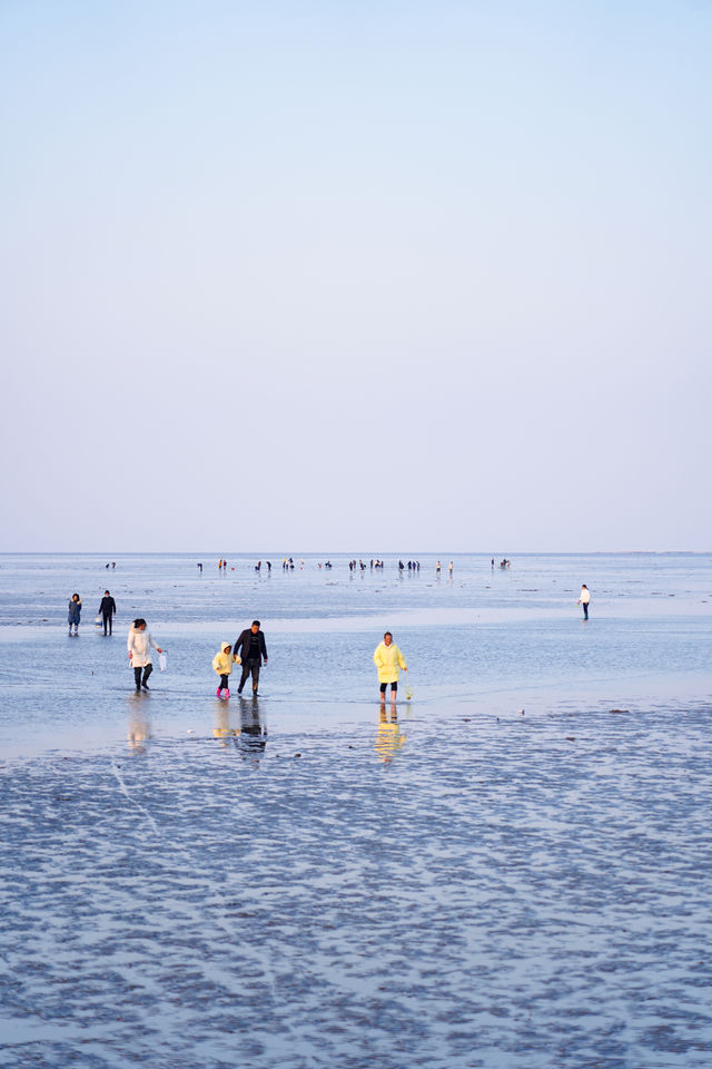 鹽城沿海自駕路線｜打卡南北分界的絕美海岸線