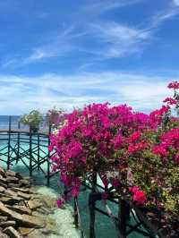 🏝️Semporna 5D4N丨Island Hopping is So Much Fun