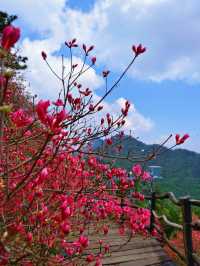漫遊麻城，遇見湖北最美的山水畫卷，你準備好了嗎