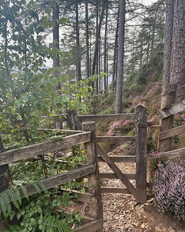英國凱西克：征服溫特斯班克，感受湖區的自然之美 