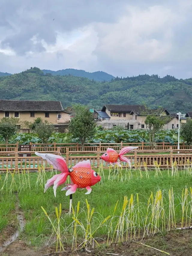 A Super Affordable Winter Trip to Yunshuiyao, Zhangzhou—Don't Ask Me Why!