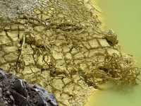 Nature Like You’ve Never Seen It Before, Like Another Planet