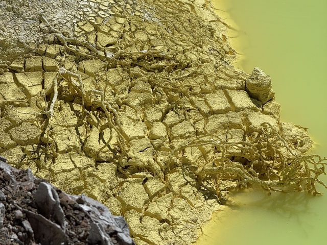 Nature Like You’ve Never Seen It Before, Like Another Planet