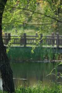 長興島濕地公園，春日治癒系被這裡承包了！