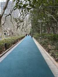 尋找春天的色彩，就來徐家匯公園吧